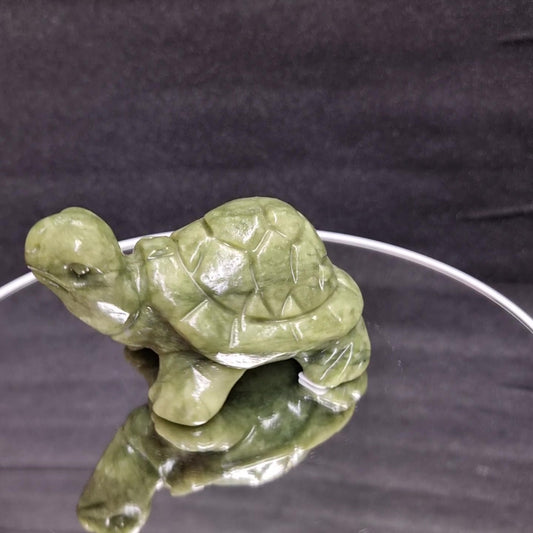 Grüne Jade Schildkröte