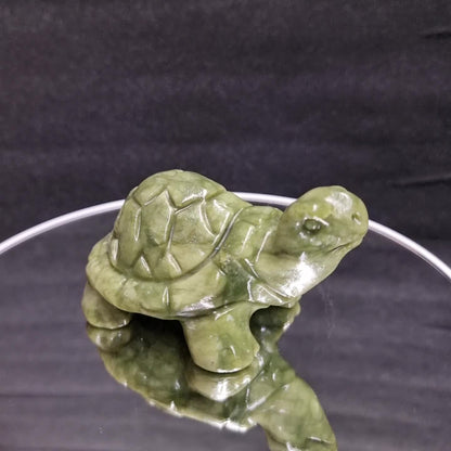 Grüne Jade Schildkröte