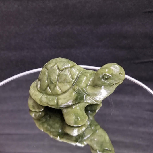 Grüne Jade Schildkröte