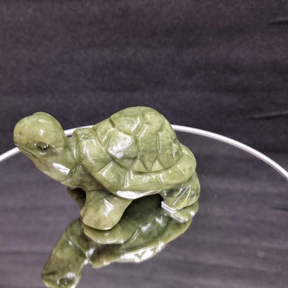 Grüne Jade Schildkröte