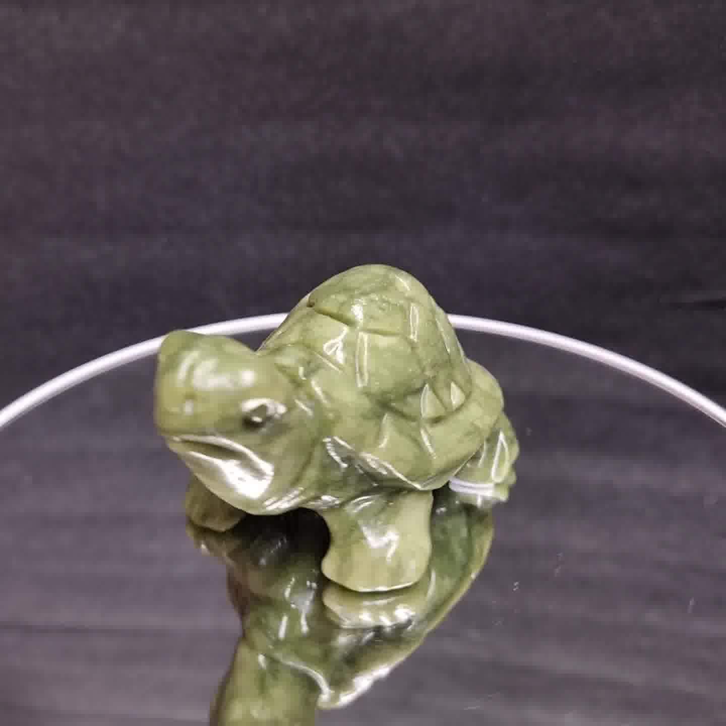 Grüne Jade Schildkröte