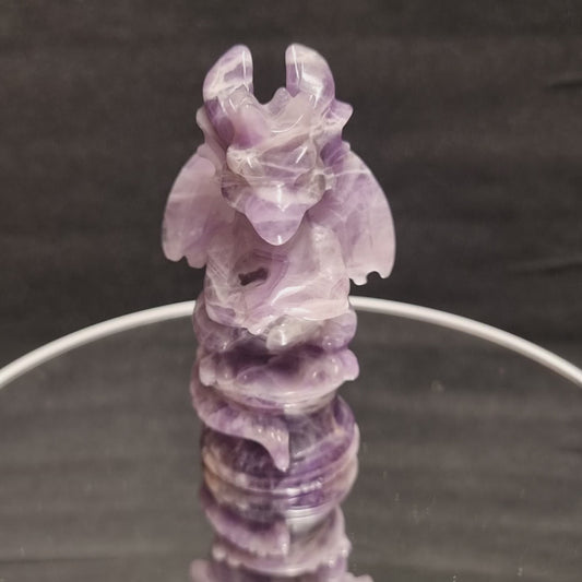 Chevron Amethyst Drache