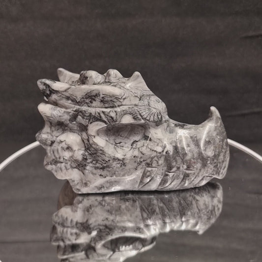 Fossil Drachen Kopf