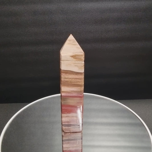 Versteinertes Holz Turm