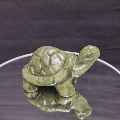 Grüne Jade Schildkröte